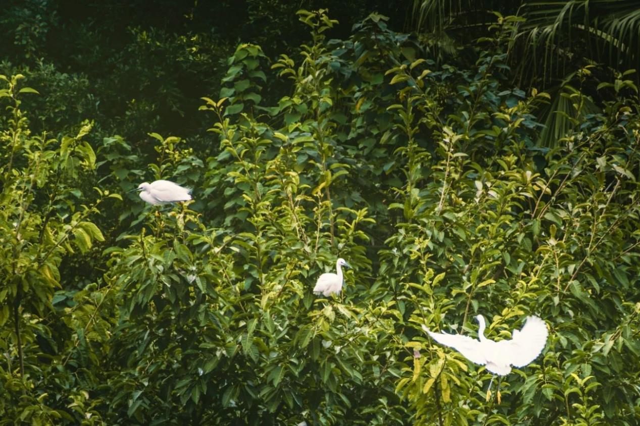 image40.jpeg