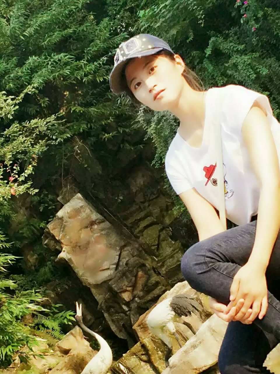 锦锦