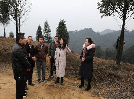 说明: 1ab5f73c4bbce6b2261cef4b7dc1ed0