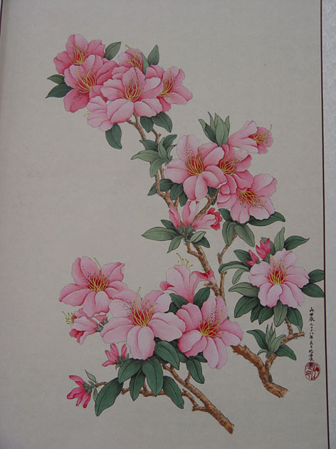 uf1215071897513.jpg